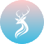 上传